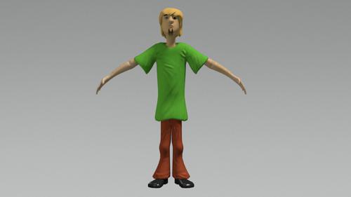 Shaggy from Scobby Doo preview image